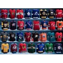 NHL Trikot